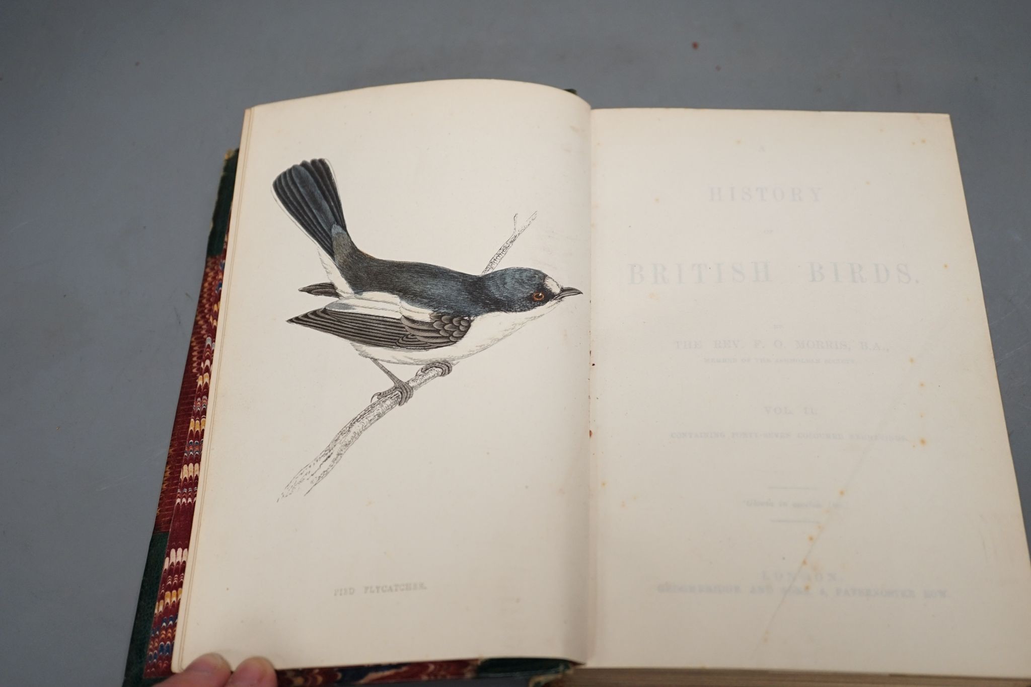 Morris, Rev. F.O. - A History of British Birds, Cabinet Edition, 8 vols, many hand-coloured plates; contemp. gilt half morocco with panelled spines and marbled boards, cr.8vo. (ca.1870)